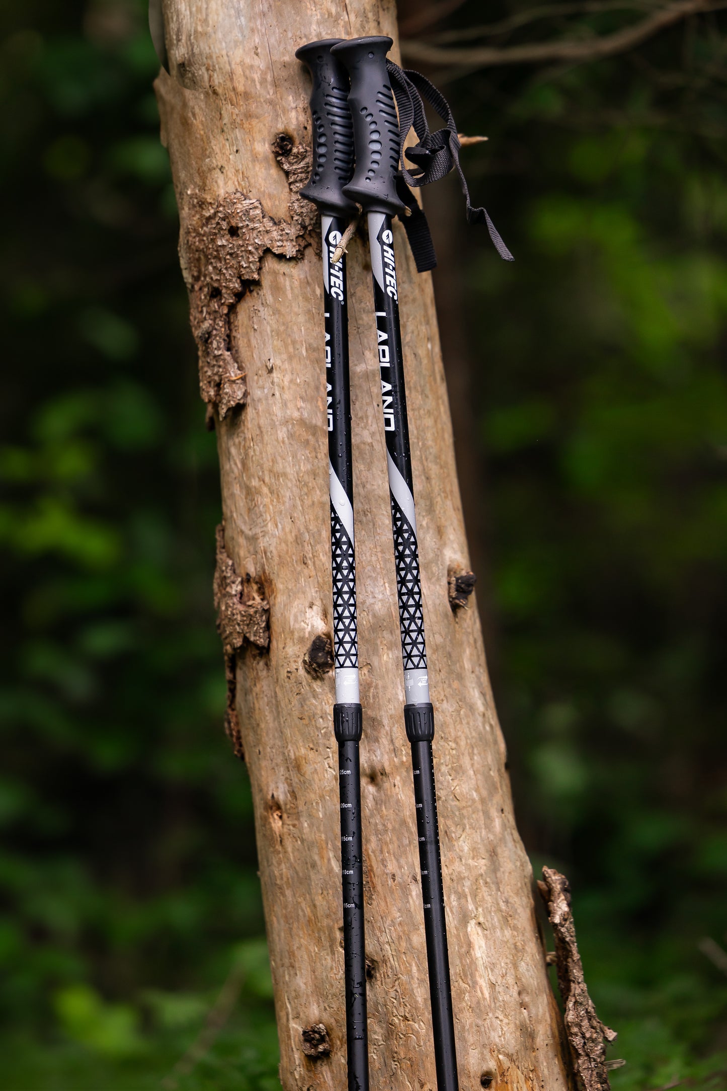 HI-TEC LAPLAND – teleskopske treking palice z anti-shock sistemom